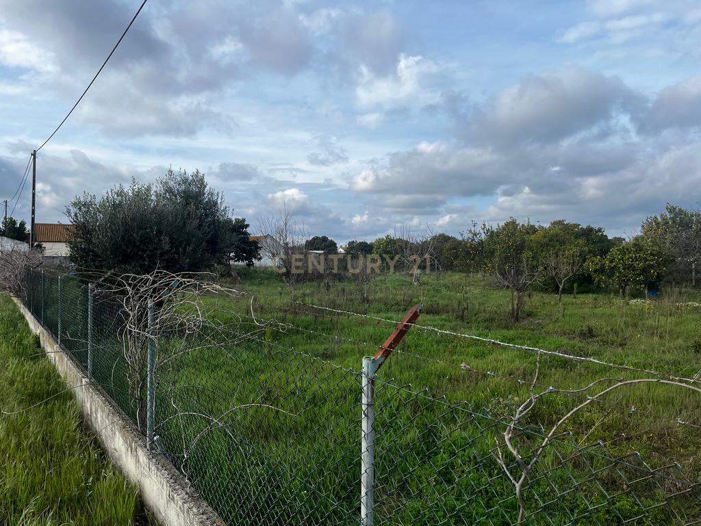 Moradia em ruinas em terreno de 2 304m2 Aroeira/Poceirão e Marateca/Palmela - Image 7