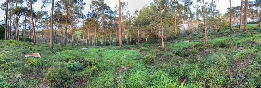 Terreno Rustico - Image 3