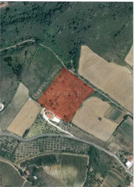Alenquer - Terreno c/ vista para Serra do Montejunto - Image 1