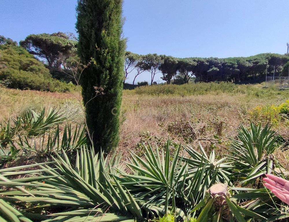 Terreno à venda em Janes - Cascais - Image 5