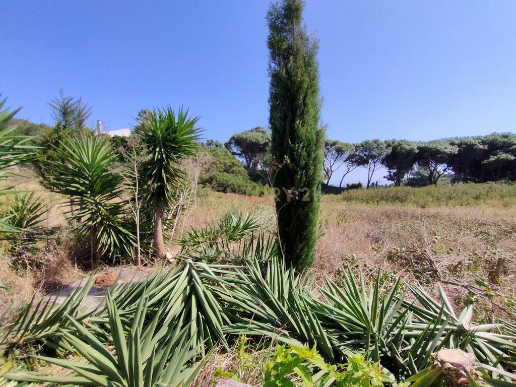 Terreno à venda em Janes - Cascais - Image 7