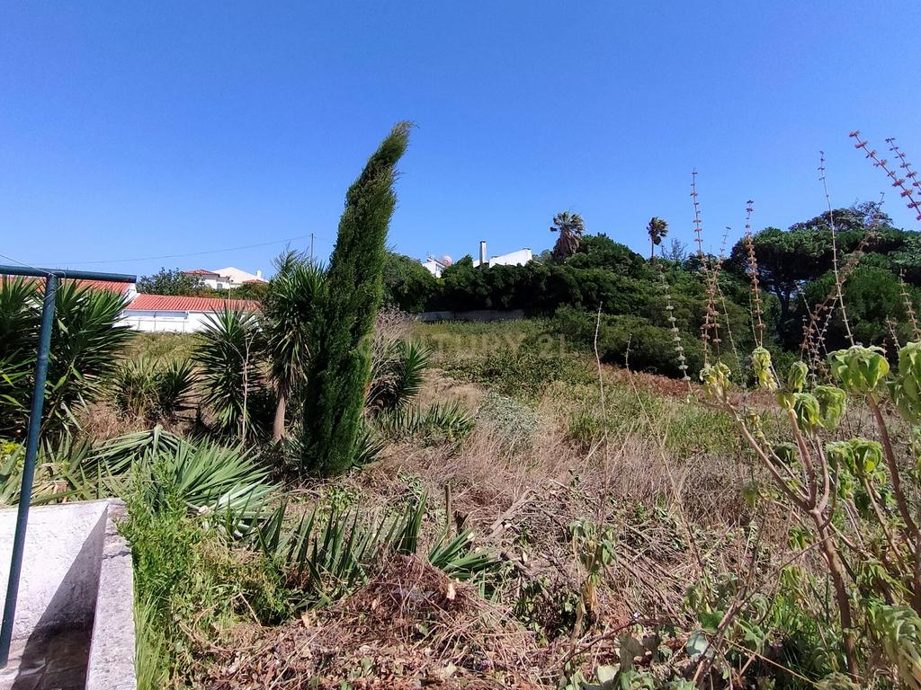 Terreno à venda em Janes - Cascais - Image 6
