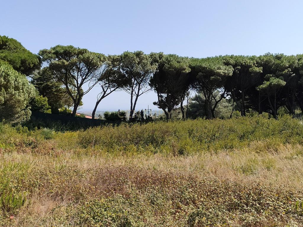 Terreno à venda em Janes - Cascais - Image 1