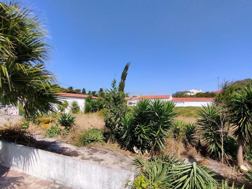 Terreno à venda em Janes - Cascais - Image 14