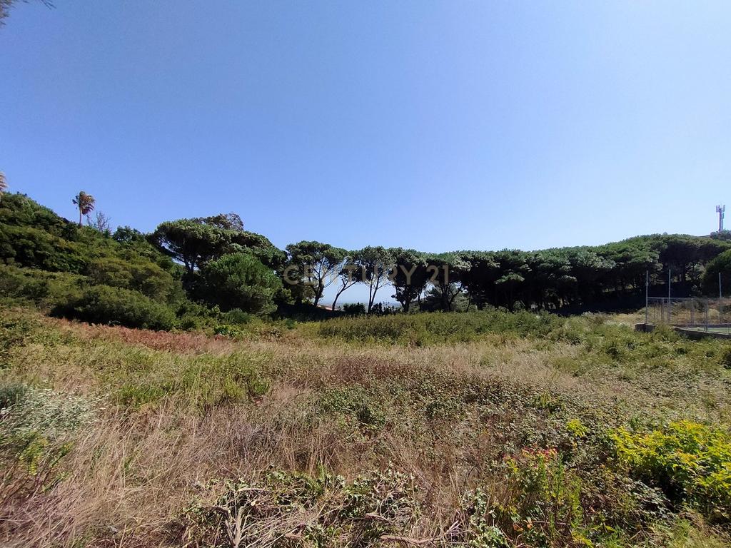 Terreno à venda em Janes - Cascais - Image 12