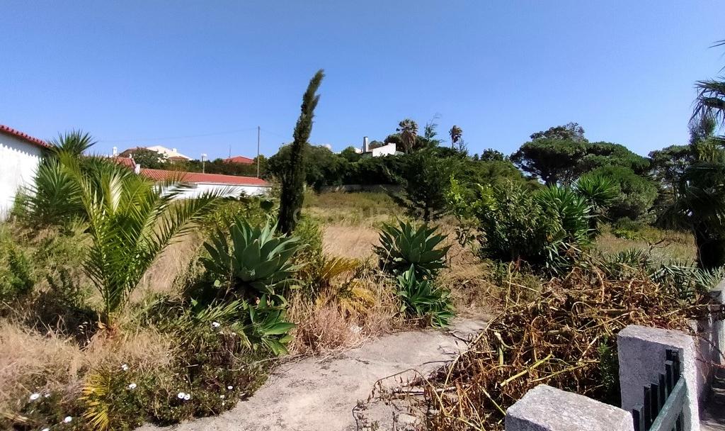 Terreno à venda em Janes - Cascais - Image 8