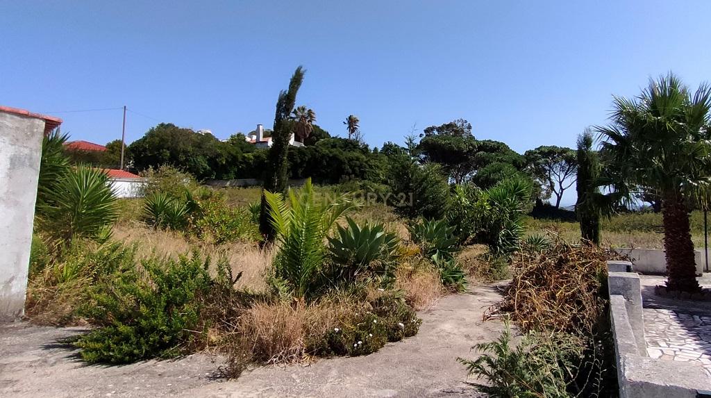 Terreno à venda em Janes - Cascais - Image 11