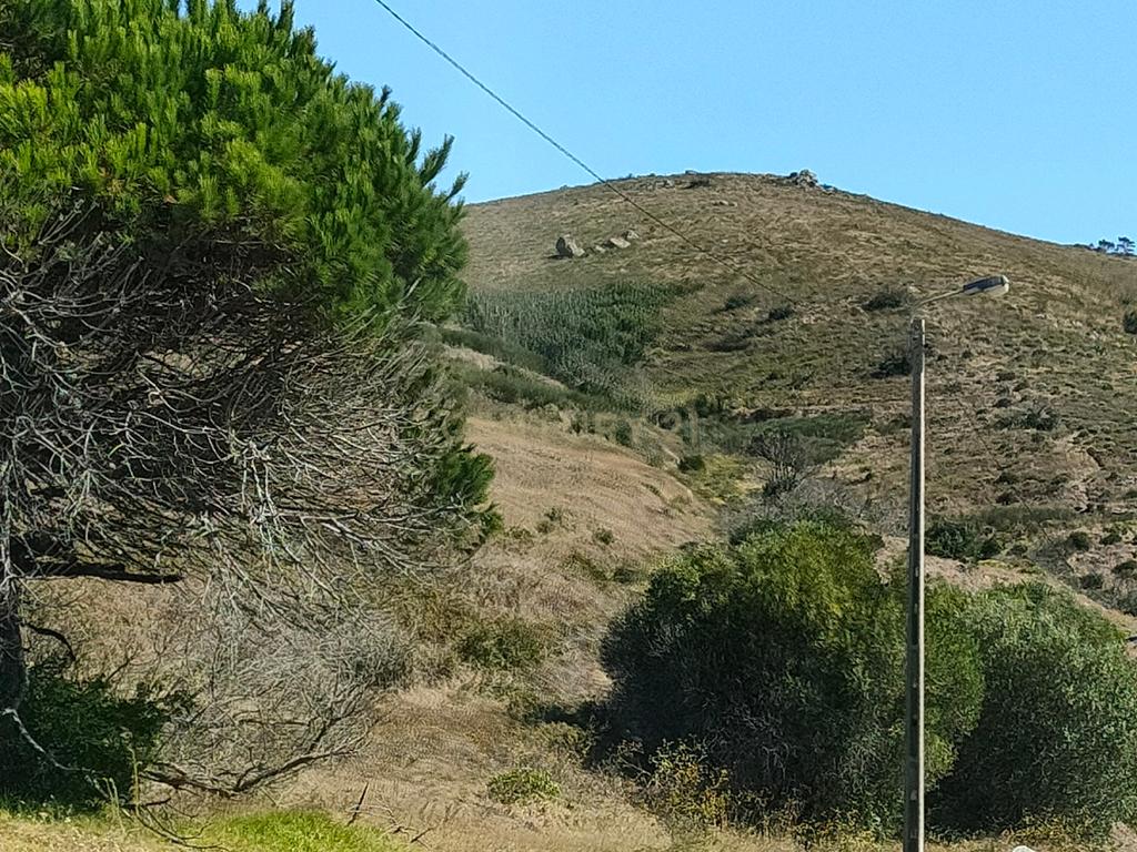 TERRENO EM MALVEIRA DA SERRA - Image 1