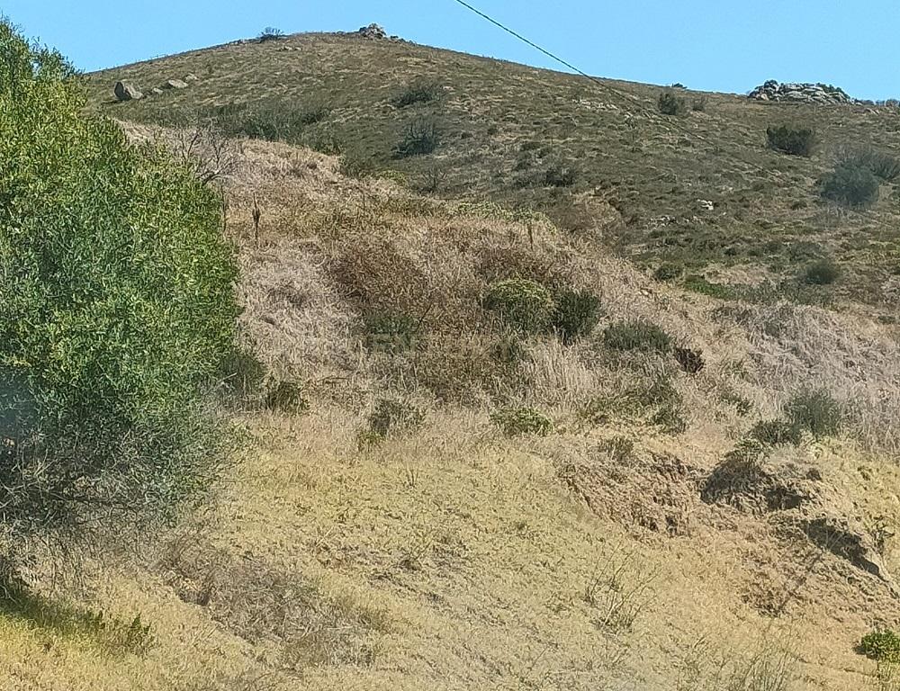 TERRENO EM MALVEIRA DA SERRA - Image 6