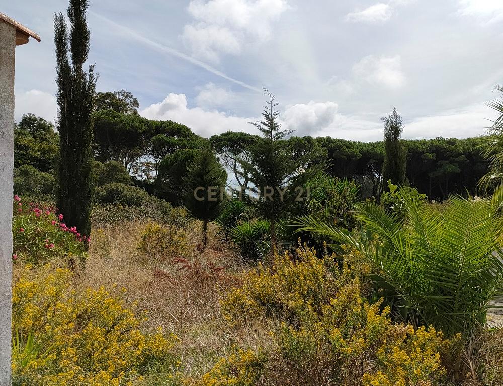 Terreno à venda em Janes - Cascais - Image 13