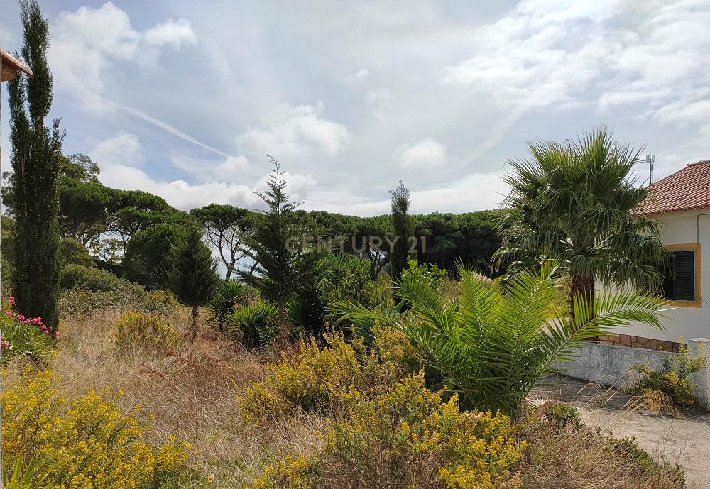 Terreno à venda em Janes - Cascais - Image 15