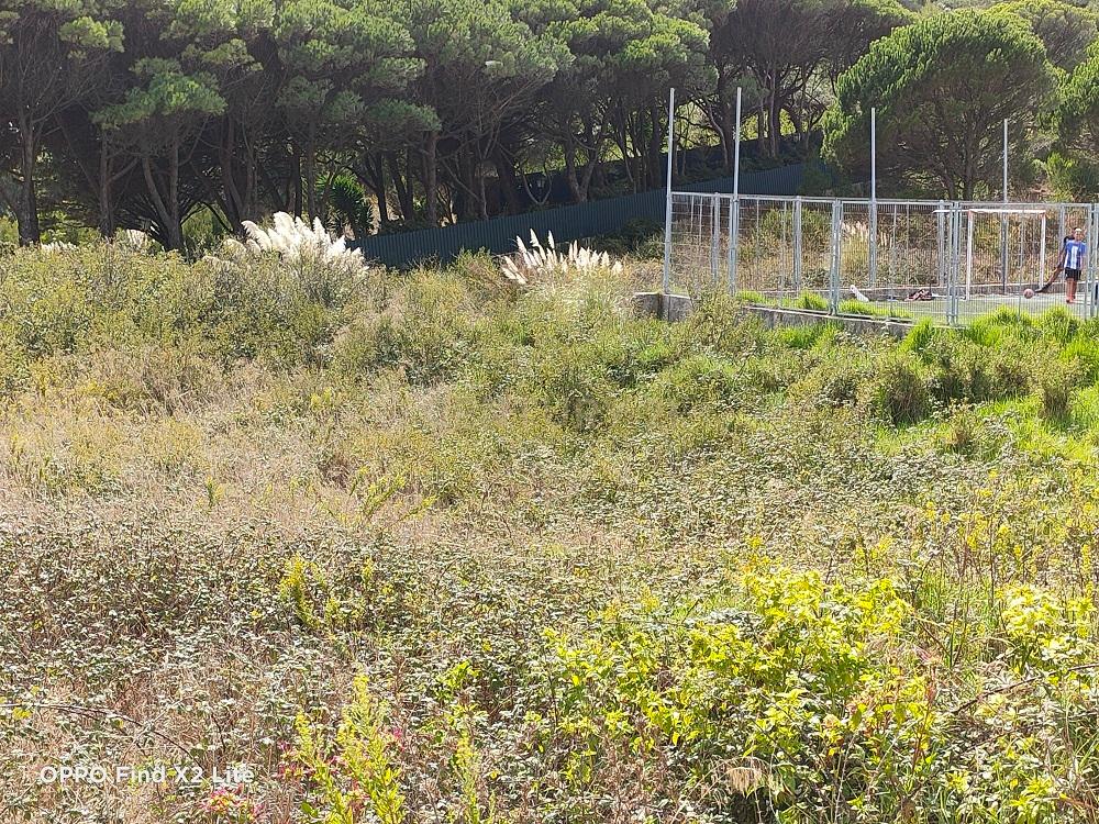 Terreno à venda em Janes - Cascais - Image 16