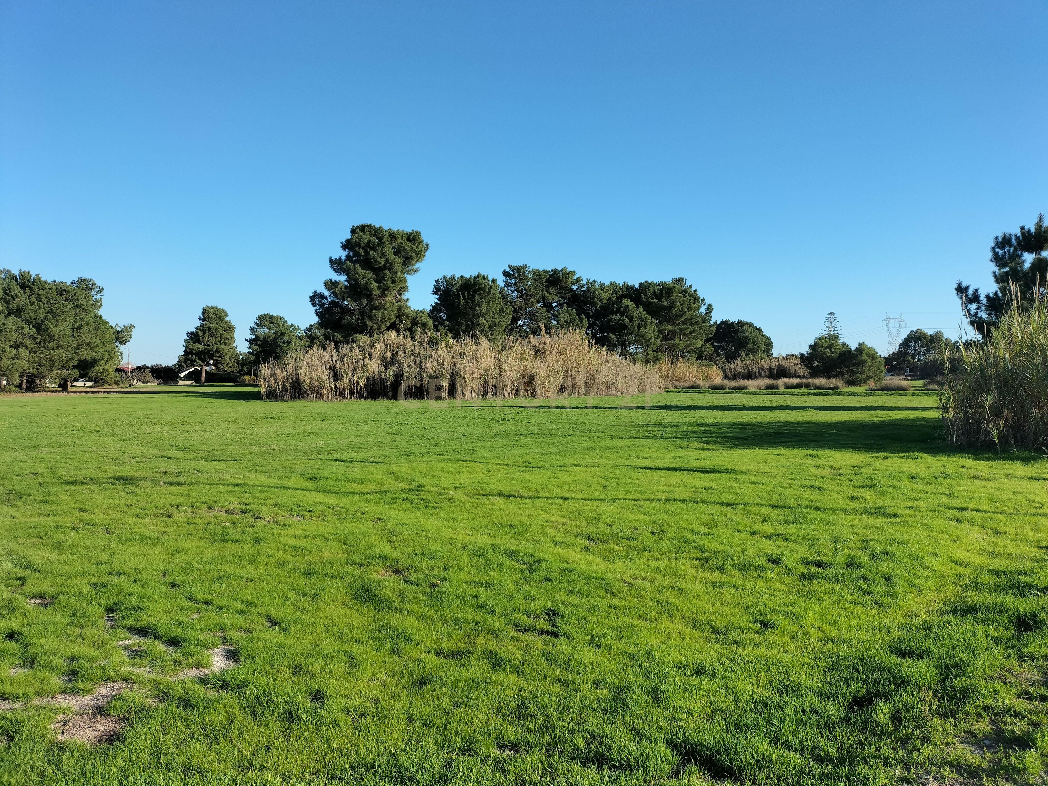 Land for sale in Moita, Portugal — €480,000