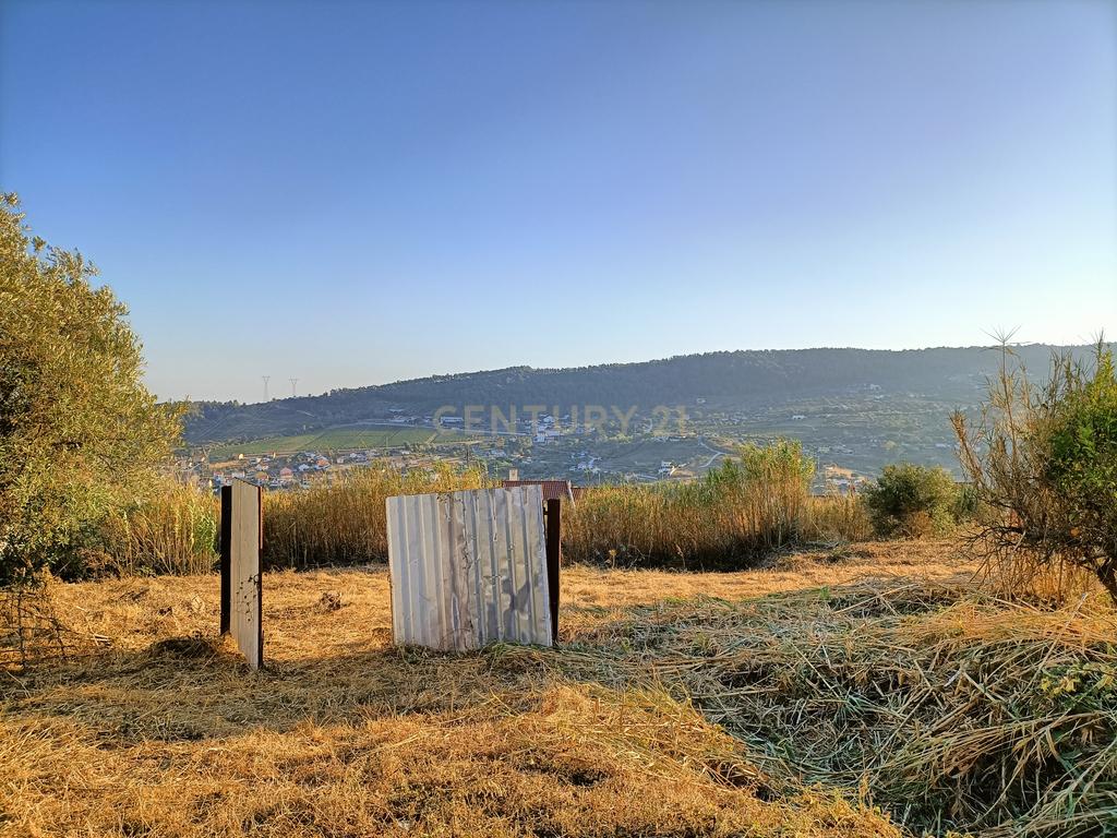 Excelente Oportunidade! Terreno com Projeto de Loteamento Caducado - Á-dos-Loucos, São João dos Montes - Image 17