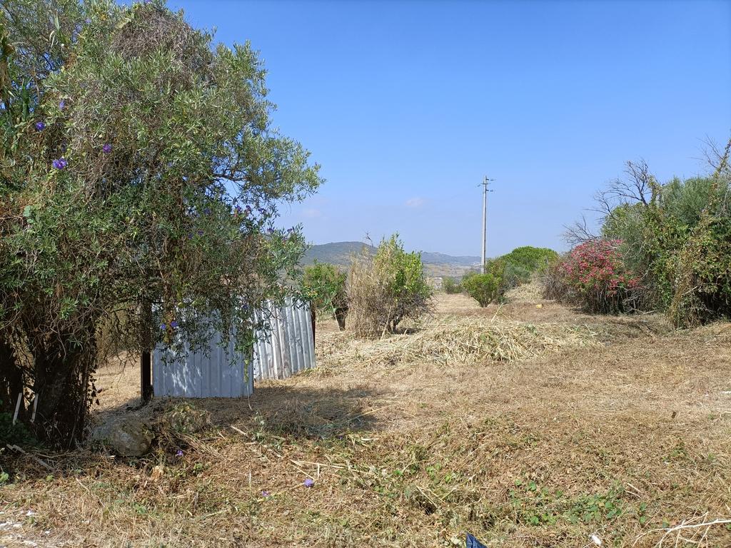 Excelente Oportunidade! Terreno com Projeto de Loteamento Caducado - Á-dos-Loucos, São João dos Montes - Image 16