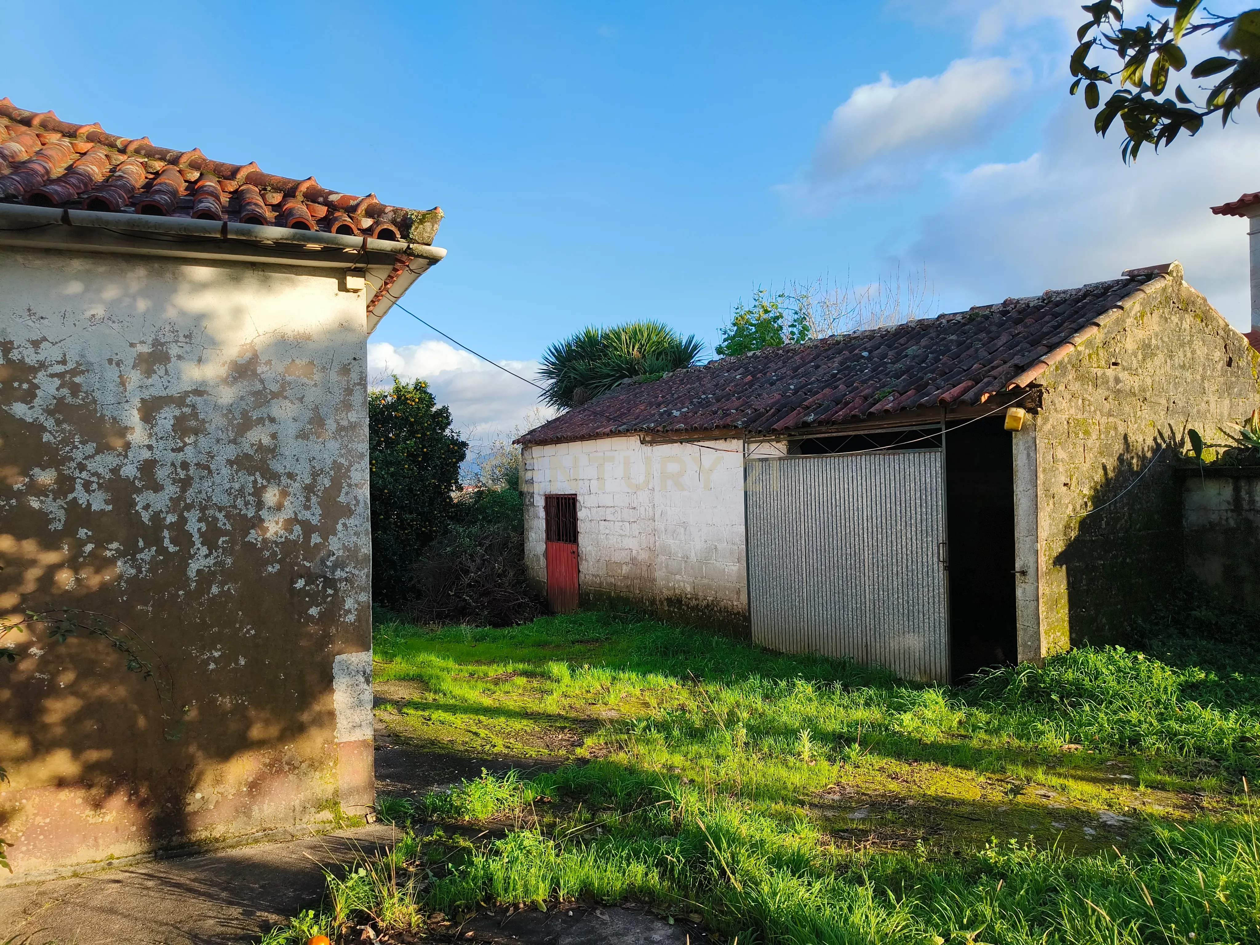 Moradia para restauro em Lanheses, Viana do castelo - Image 5