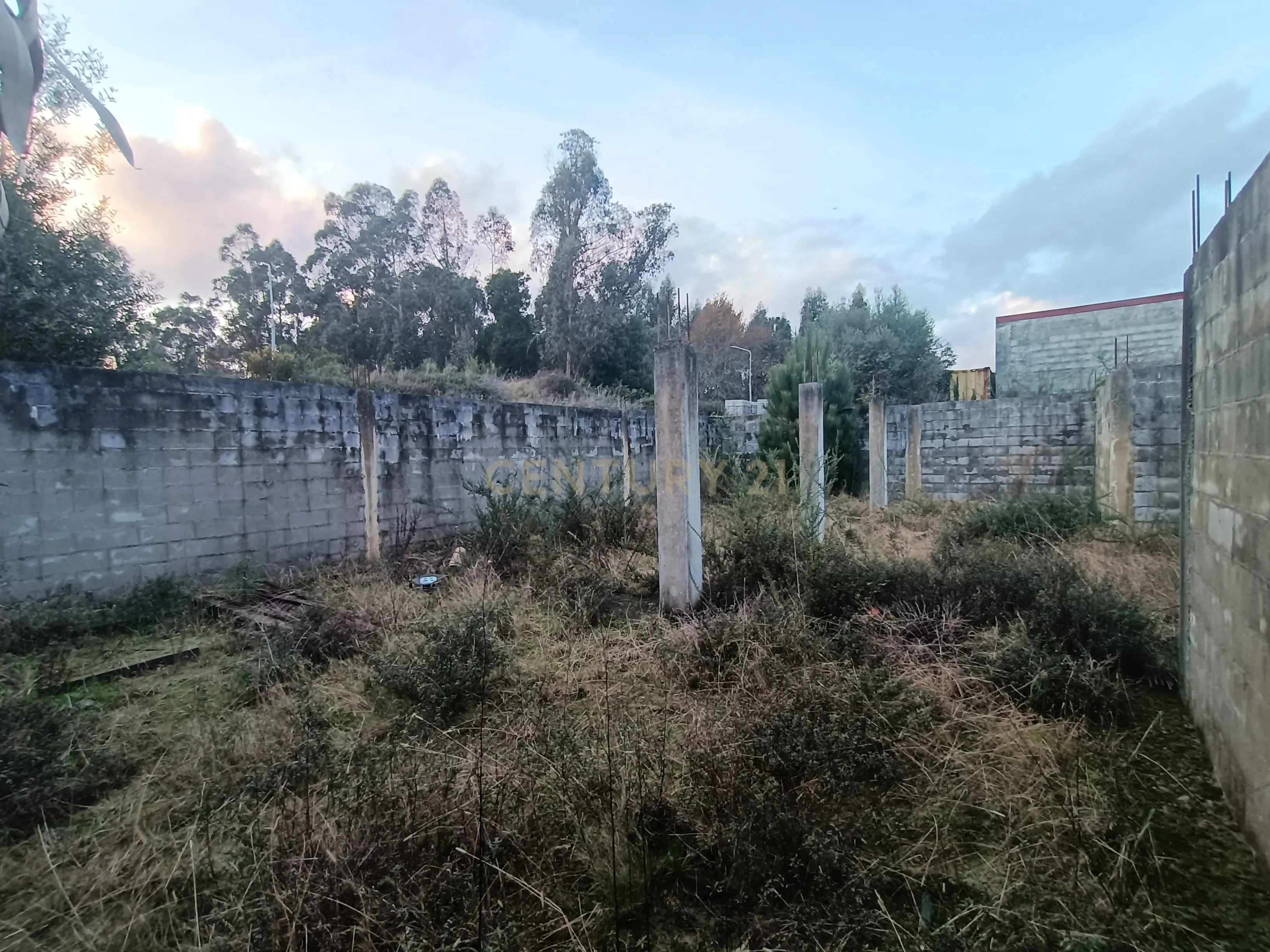 Terreno para construção c/ benfeitoria em Geraz do Lima - Image 12