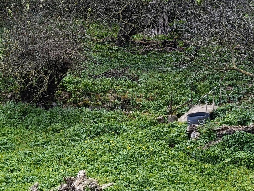 Terrenos em Apelação, Largo 1 de Maio, Loures - Image 22