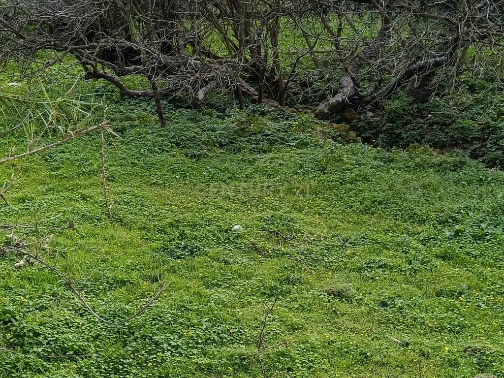 Terrenos em Apelação, Largo 1 de Maio, Loures - Image 23