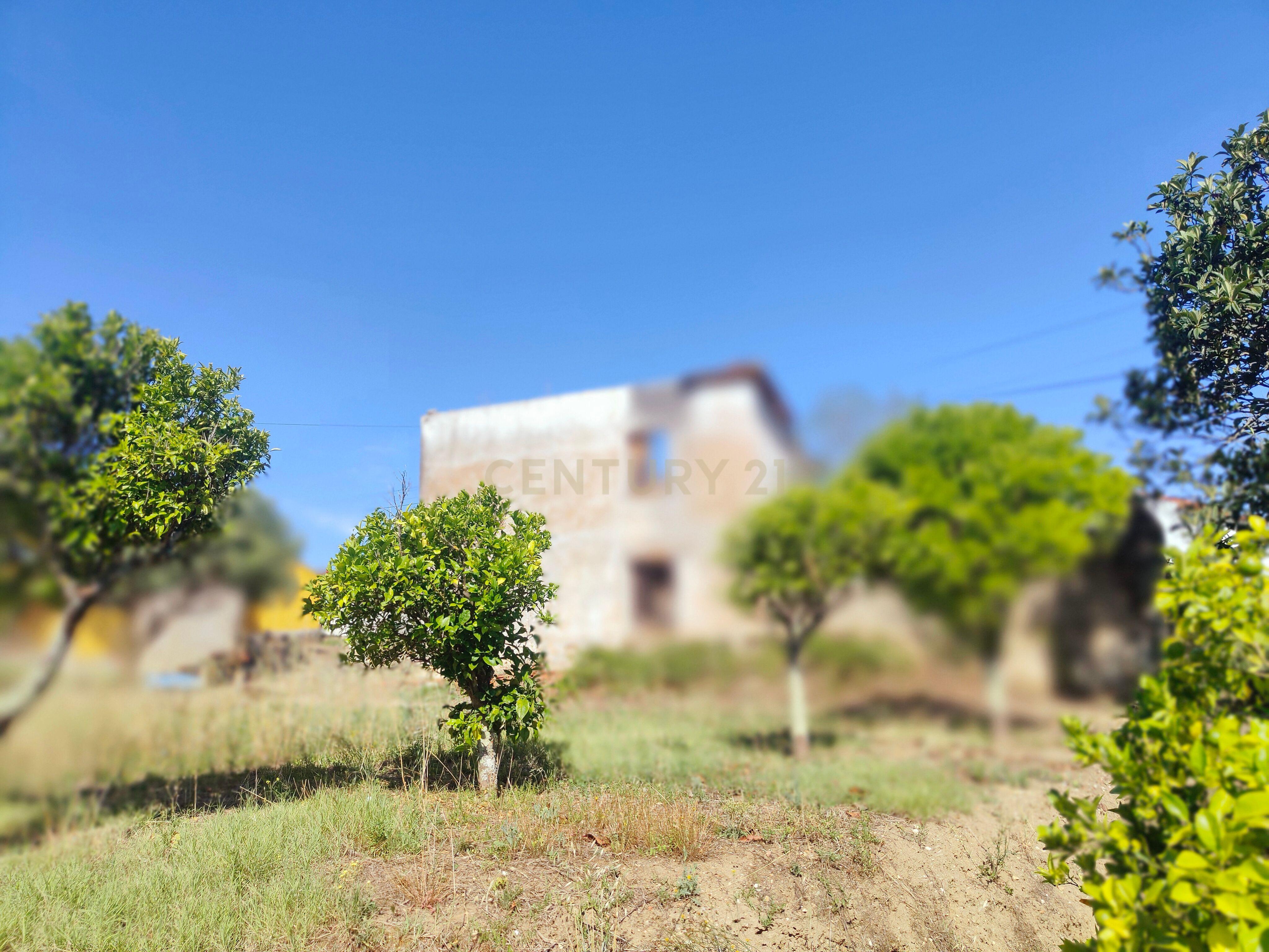 Moradia T2 Torres Novas - Chancelaria - Image 8