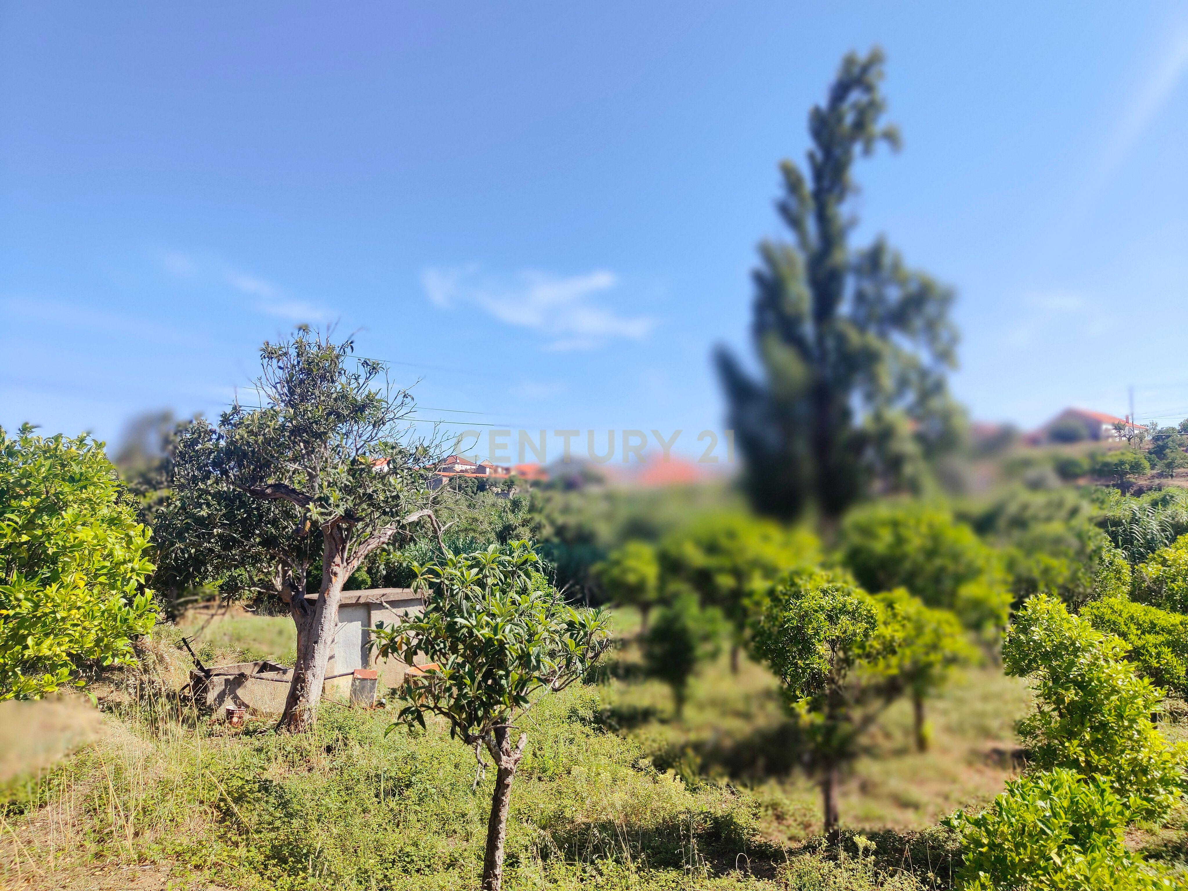 Moradia T2 Torres Novas - Chancelaria - Image 17