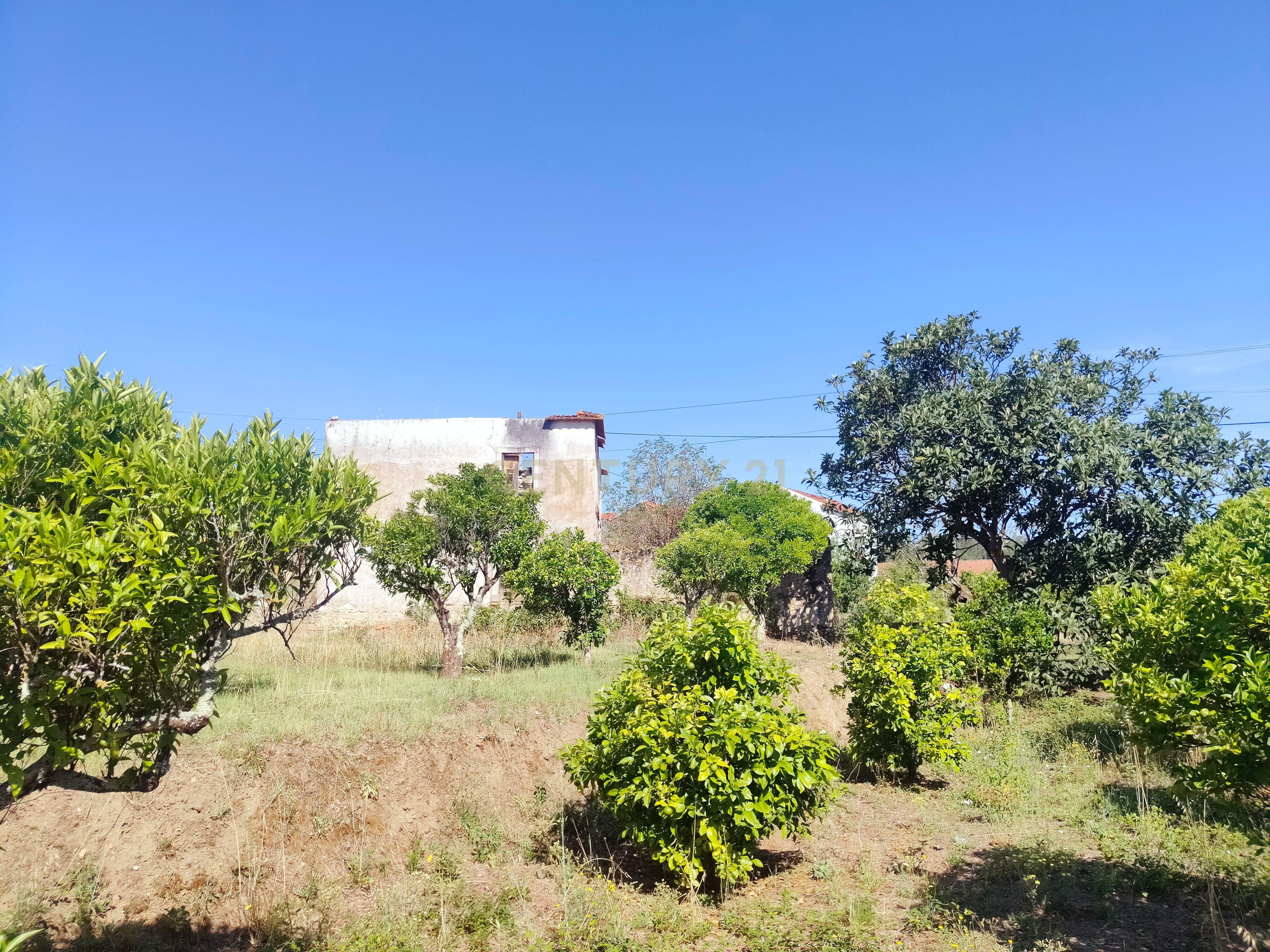 Moradia T2 Torres Novas - Chancelaria - Image 16
