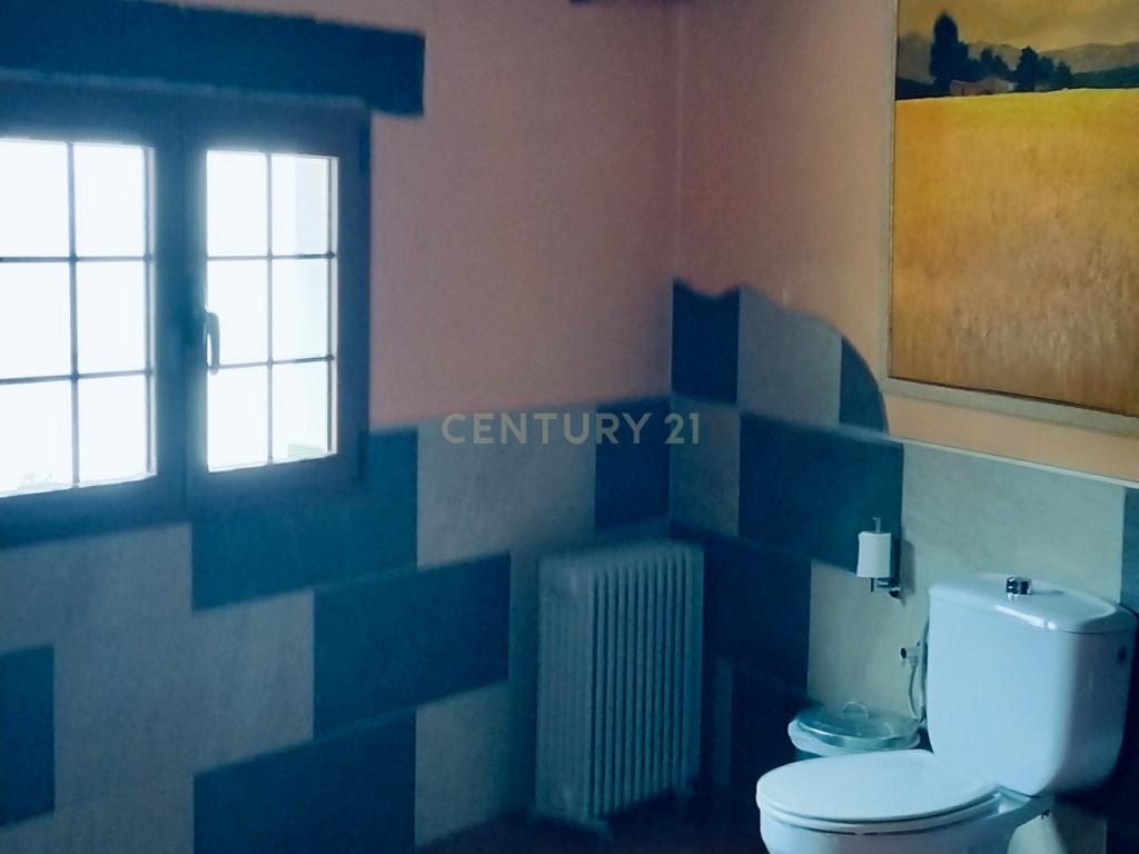 undefined - Image 15