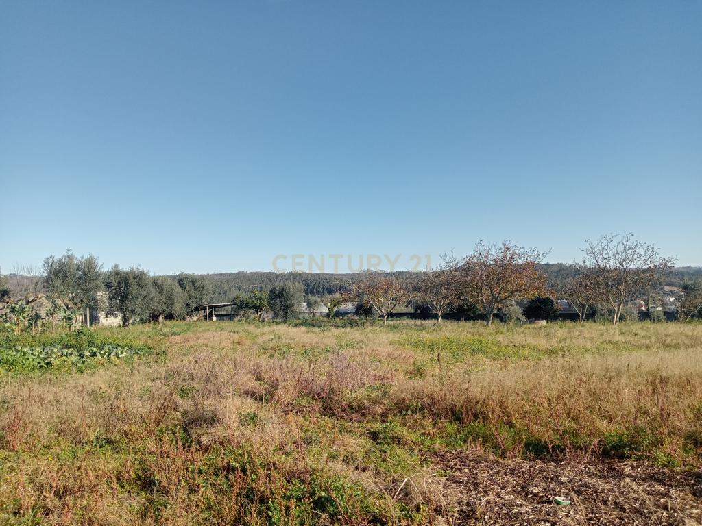 Moradia T6 na Travessa da Mourã nº 38, Atouguia - Image 10