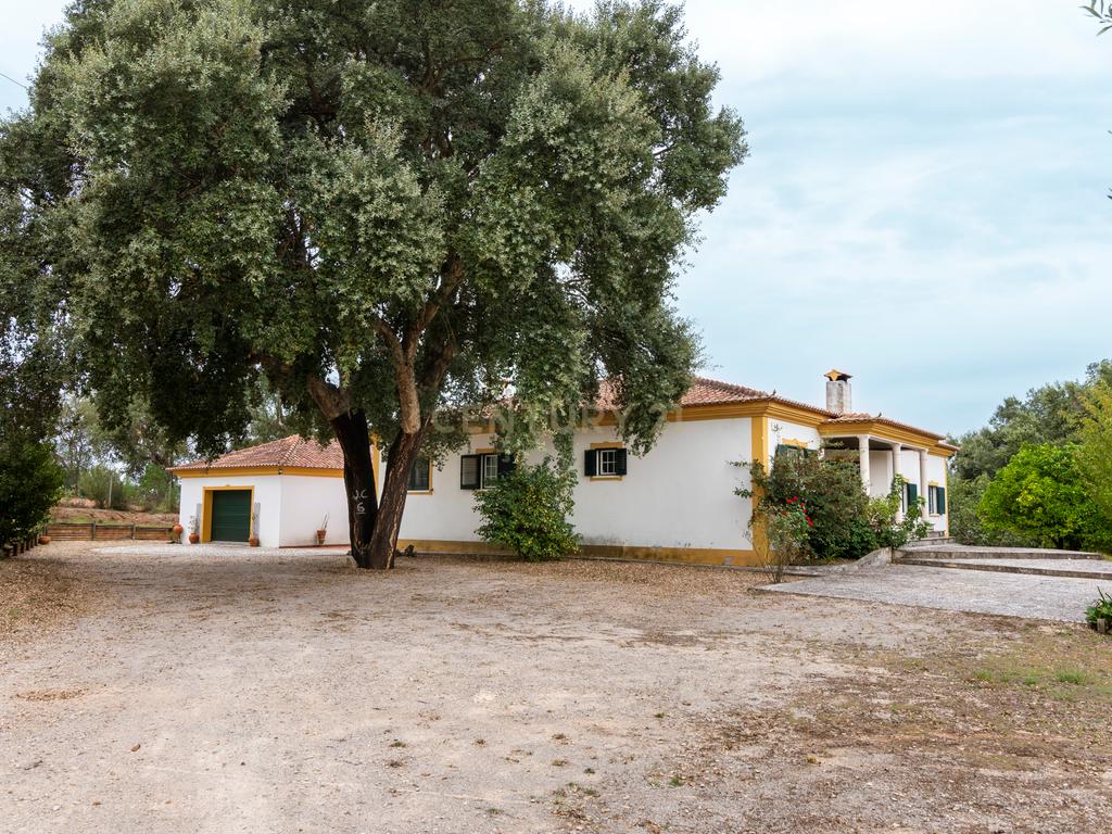 Moradia T4, com piscina, inserida num terreno de 8040m2 - Tomar - Image 2