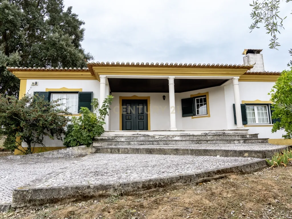 Moradia T4, com piscina, inserida num terreno de 8040m2 - Tomar - Image 3