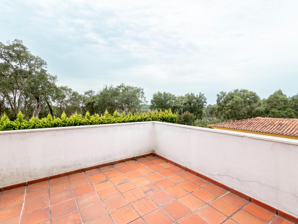Moradia T4, com piscina, inserida num terreno de 8040m2 - Tomar - Image 26