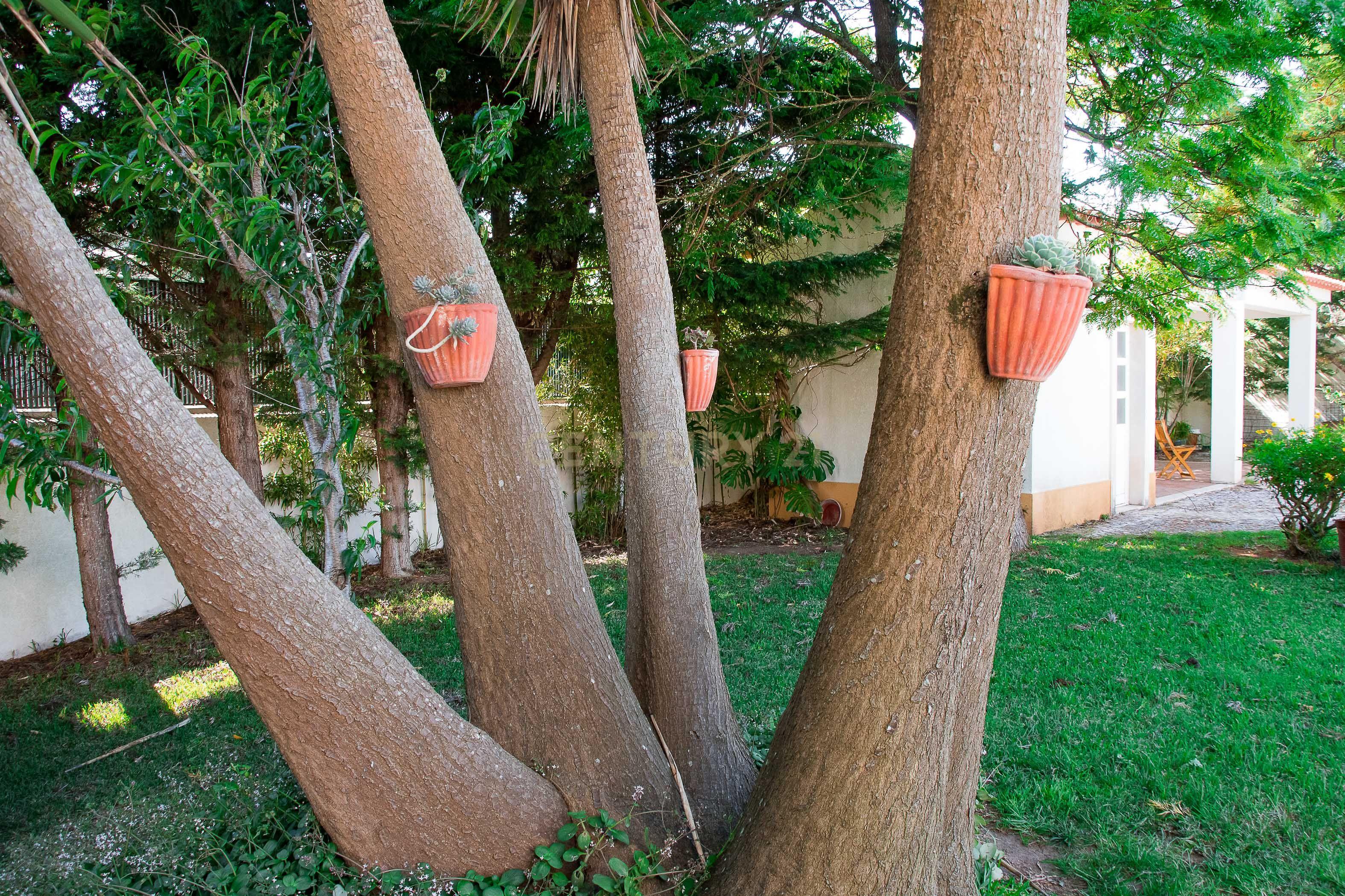SINTRA - QUINTA DA BELOURA - MORADIA DE LUXO - Image 44