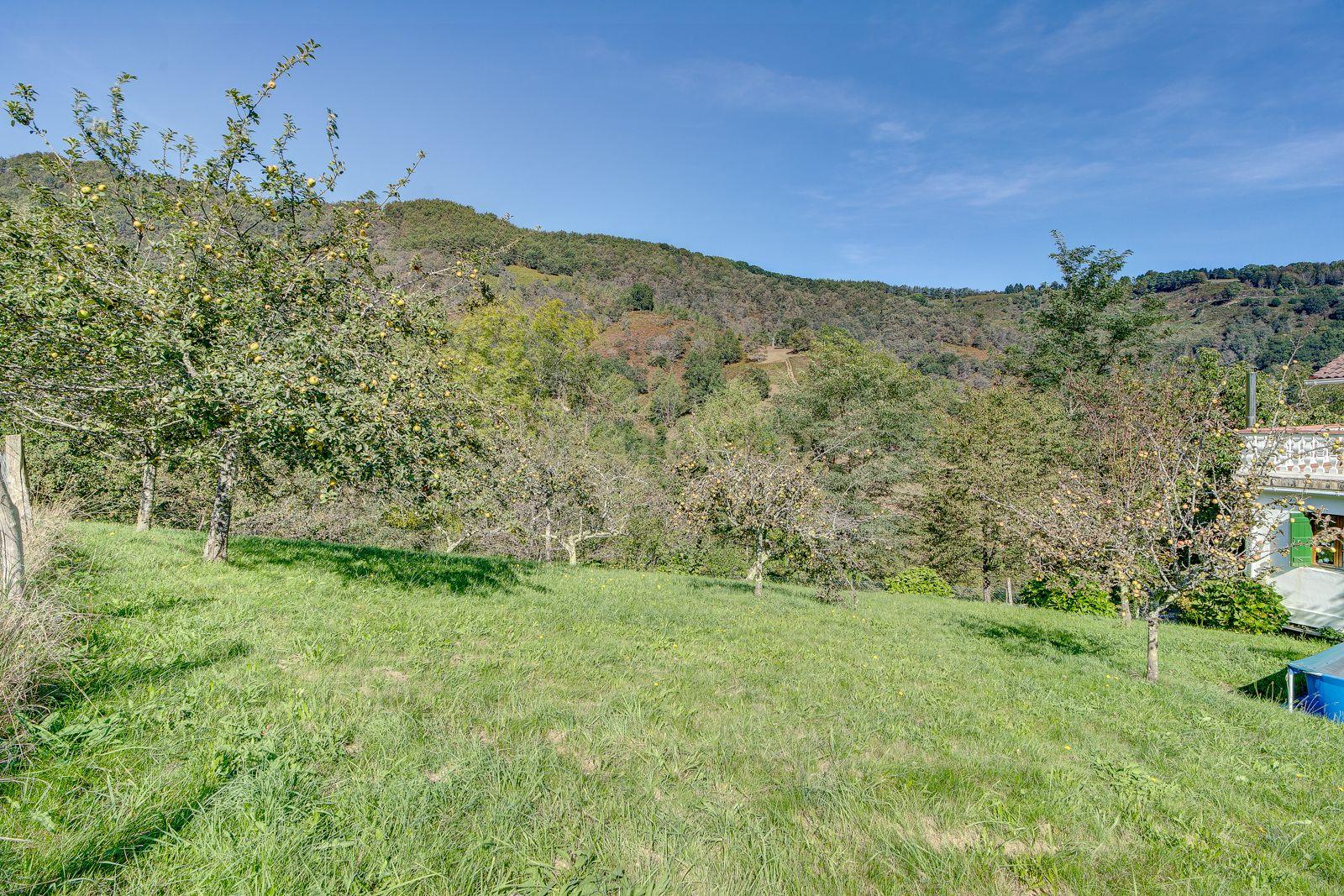 undefined - Image 17