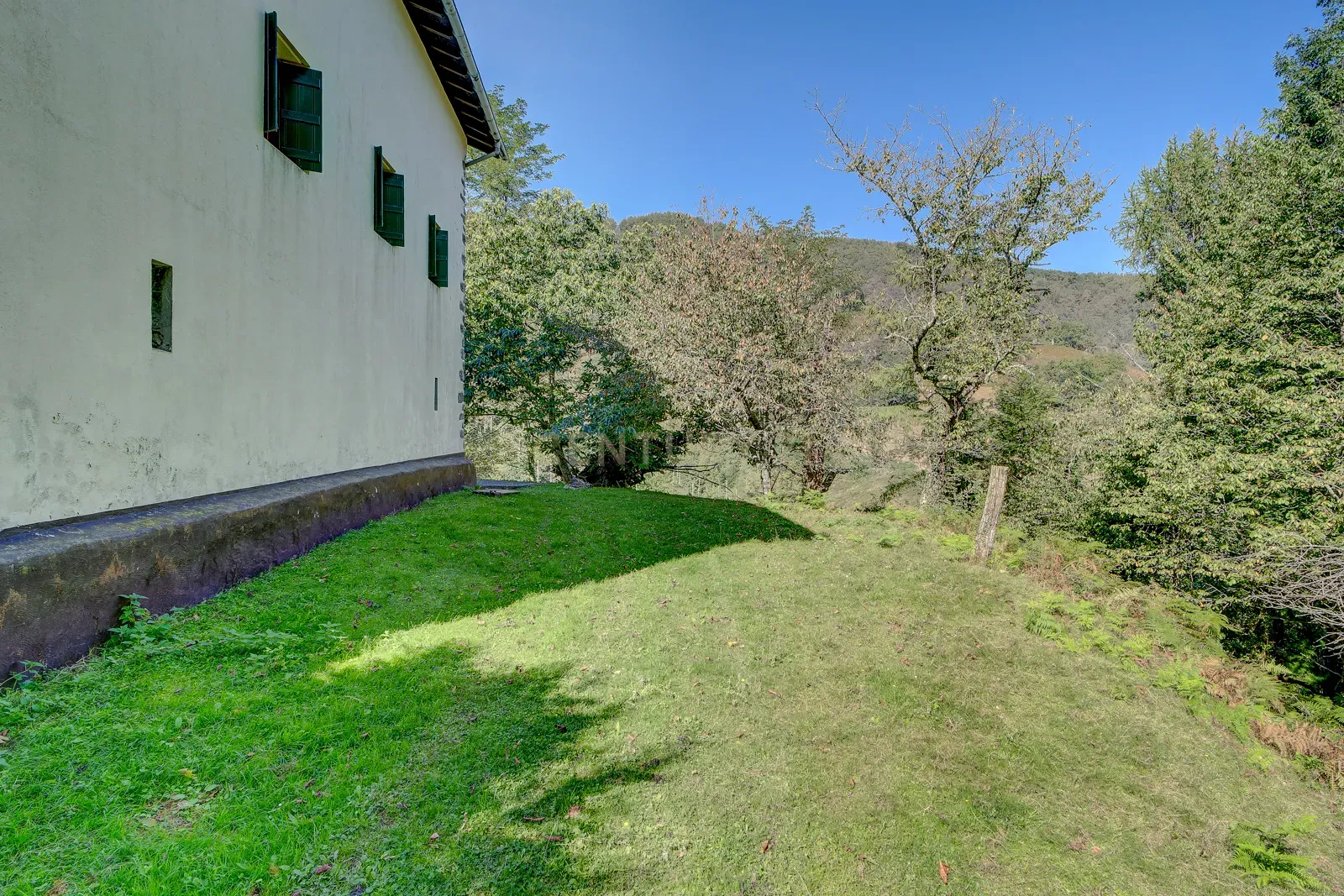 undefined - Image 13