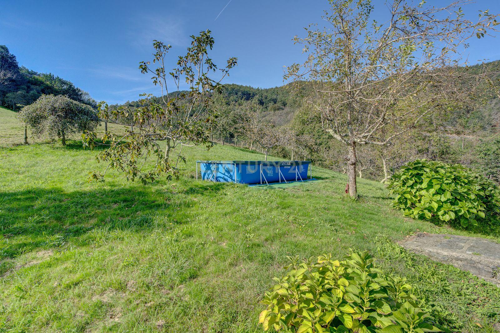 undefined - Image 14