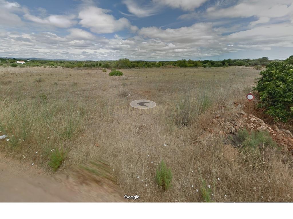 Terreno - Image 5