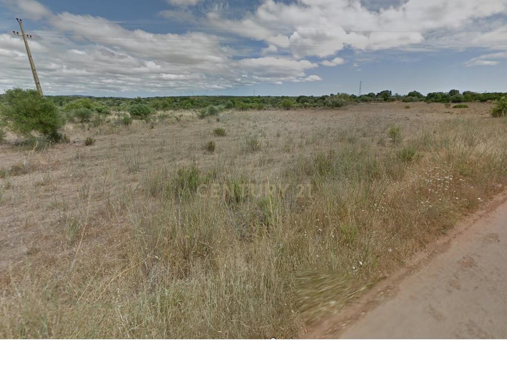 Terreno - Image 2