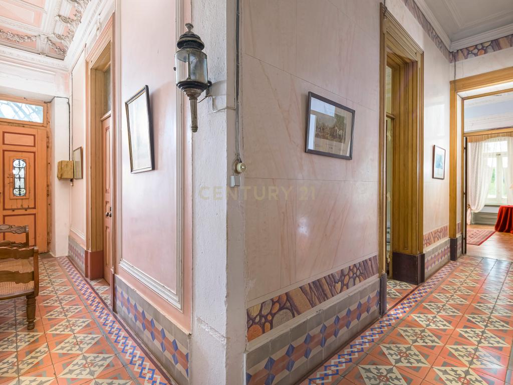 Quinta de 10.300m2 com Palacete do sec. XIX em Serpa - Image 13