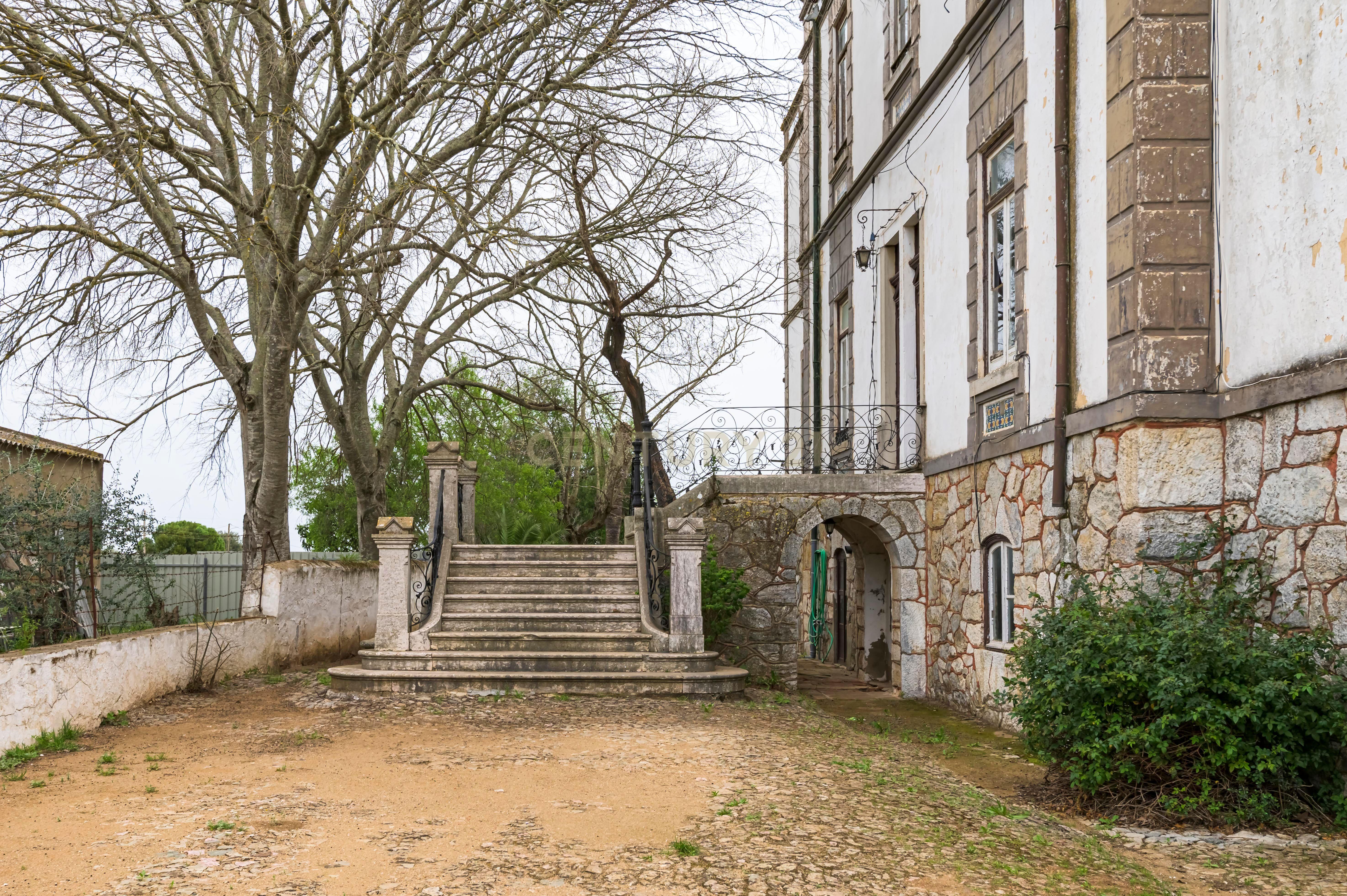 Quinta de 10.300m2 com Palacete do sec. XIX em Serpa - Image 5