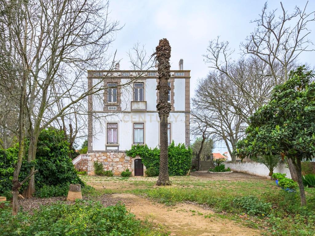 Quinta de 10.300m2 com Palacete do sec. XIX em Serpa - Image 7