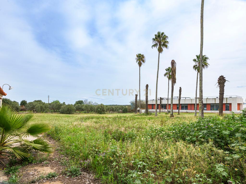 Quinta de 10.300m2 com Palacete do sec. XIX em Serpa - Image 41