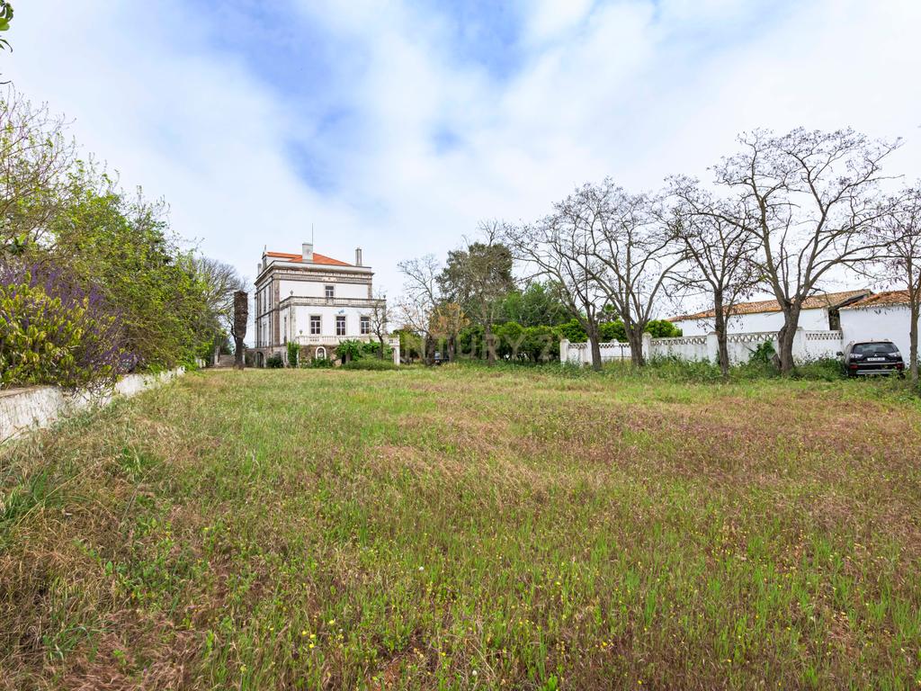 Quinta de 10.300m2 com Palacete do sec. XIX em Serpa - Image 6