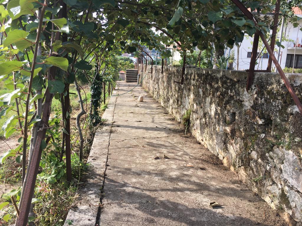 Quinta Villa Progresso - T6+1 em Cucujães - Image 28