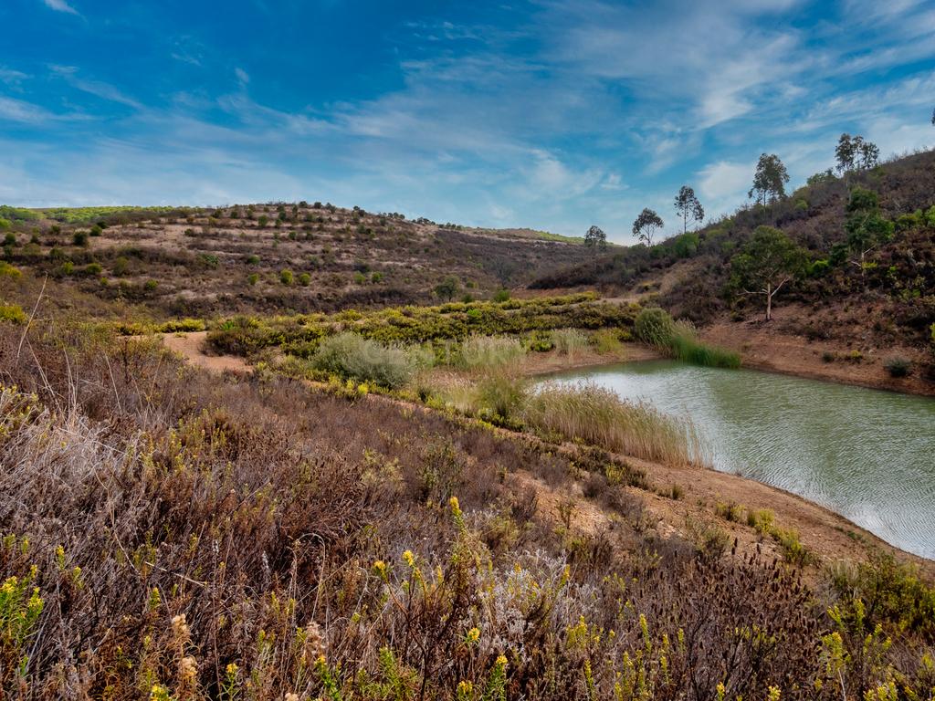 Herdade de 271 Hectares no Barlavento Algarvio, com moradia + 4 estudios, piscina, 9 barragens, 3 estufas. - Image 66