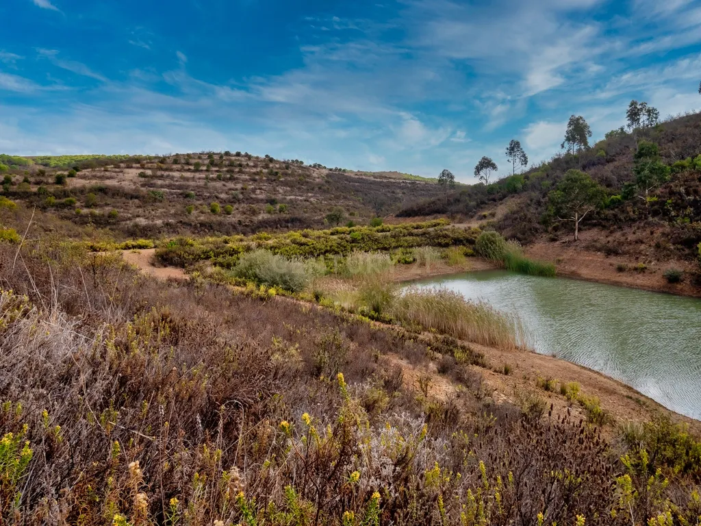 Herdade de 271 Hectares no Barlavento Algarvio, com moradia + 4 estudios, piscina, 9 barragens, 3 estufas. - Image 66