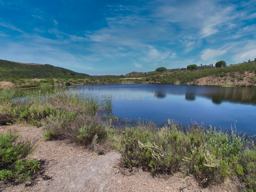 Herdade de 271 Hectares no Barlavento Algarvio, com moradia + 4 estudios, piscina, 9 barragens, 3 estufas. - Image 65