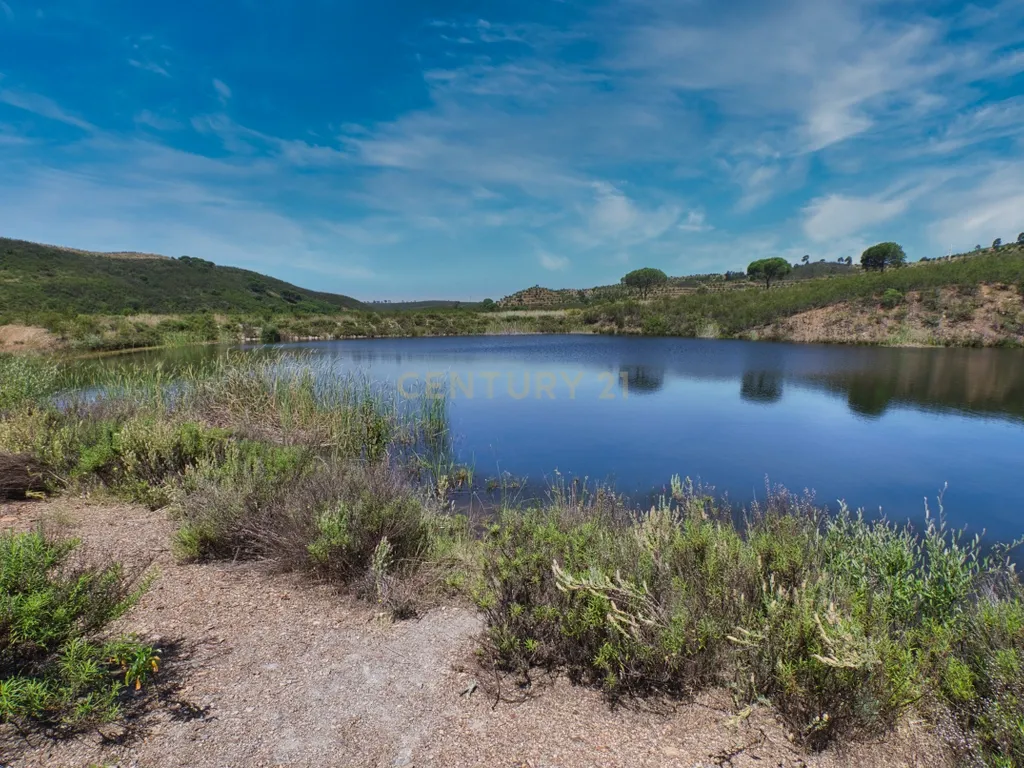 Herdade de 271 Hectares no Barlavento Algarvio, com moradia + 4 estudios, piscina, 9 barragens, 3 estufas. - Image 65