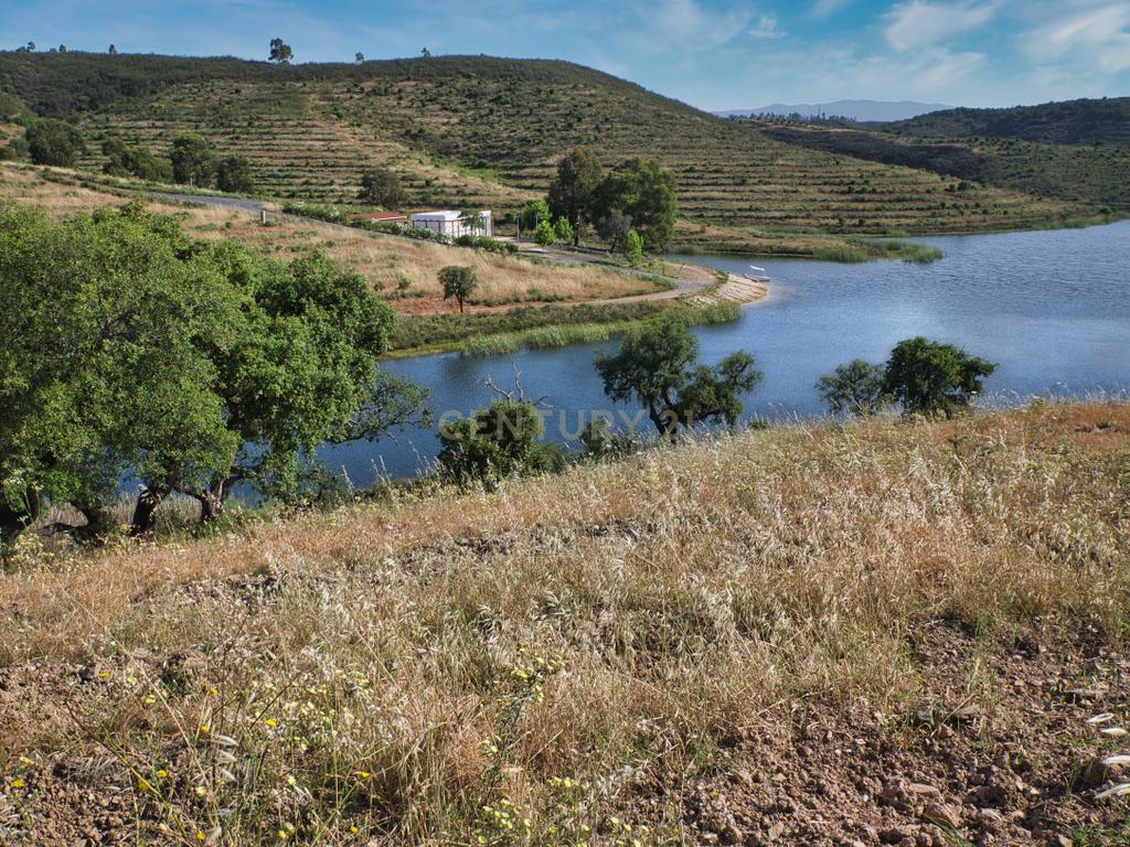 Herdade de 271 Hectares no Barlavento Algarvio, com moradia + 4 estudios, piscina, 9 barragens, 3 estufas. - Image 43
