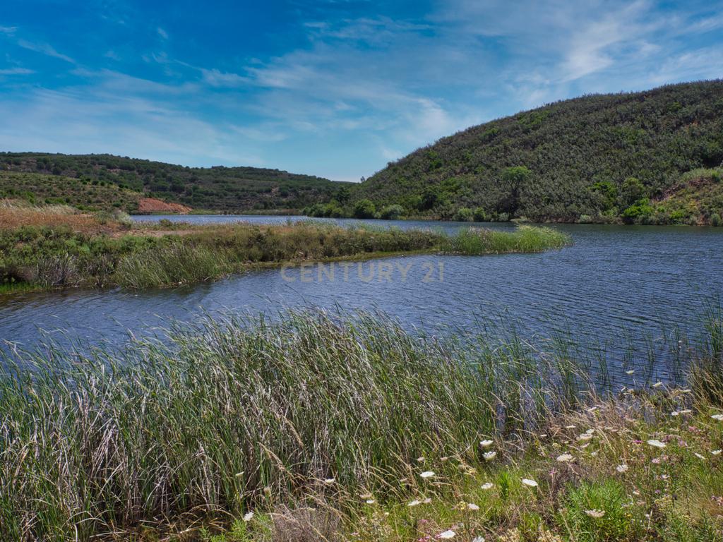 Herdade de 271 Hectares no Barlavento Algarvio, com moradia + 4 estudios, piscina, 9 barragens, 3 estufas. - Image 51
