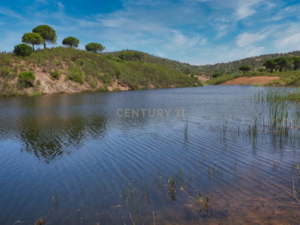 Herdade de 271 Hectares no Barlavento Algarvio, com moradia + 4 estudios, piscina, 9 barragens, 3 estufas. - Image 46